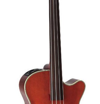 Takamine DB10 Acoustic Electric Bass Guitar (Red Stain) Cheap