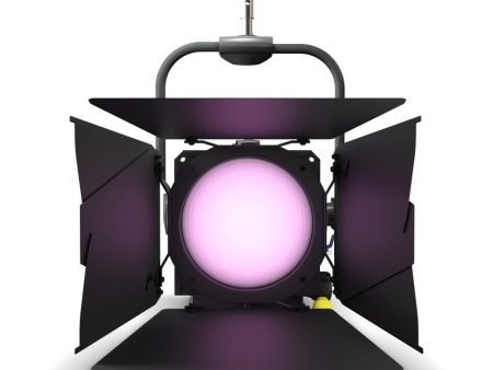 Cameo Pro CLF4FCPOIP Professional Pole-Operated IP65 Fresnel Full Color - Includes Barndoor and Gel Frame (RGBW) Online Sale