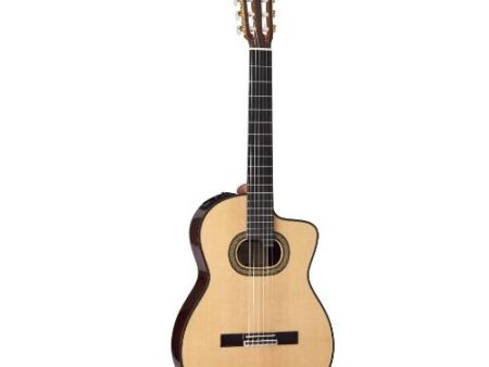 Takamine DH90 Classical Guitar (Natural) Online now