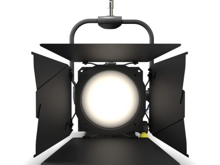 Cameo Pro CLF4TPOIP Professional Pole-Operated IP65 Fresnel - Includes Barndoor and Gel Frame (White Tungsten) For Sale