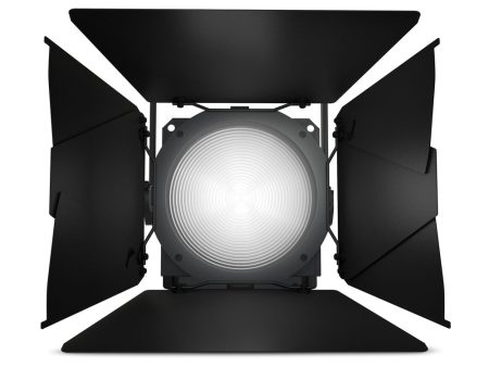 Cameo Pro CLF2D Professional Fresnel White Daylight - Includes Barndoor and Gel Frame Cheap