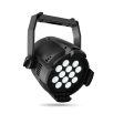 Cameo Lights CLPSTTWG2 Studio PAR CAN 12 x 3-in-1 Tunable White LED (Black) on Sale