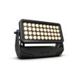 Cameo Pro ZENIT W600 Outdoor 40 X 18W TW LED Wash Light IP65 (Black) Fashion