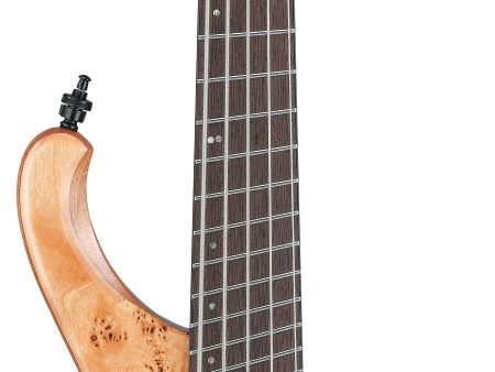 Ibanez EHB1505SMSFNL EHB Ergonomic Headless Bass 5 Strings Multiscale (Florid Natural Low Gloss) Supply