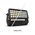 Cameo Pro ZENIT W600 Outdoor 40 X 18W TW LED Wash Light IP65 (Black) Fashion