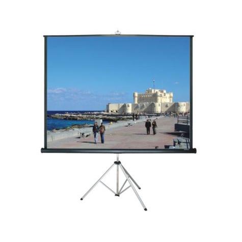 Grandview GV-PTH60 1:1 Tripod Portable Screen - 60  Online