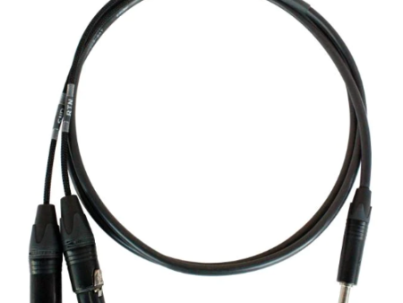 Digiflex CIN-1S-1FX1MX-10-RS MR202-2AT Insert Cable TRS Ring Send to XLRM & XLRF - 10 Foot on Sale