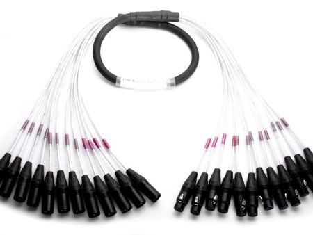 Digiflex DPR-12FX 12MX-10 12 Channel Cable XLRM to XLRF Connectors - 10 Foot For Cheap